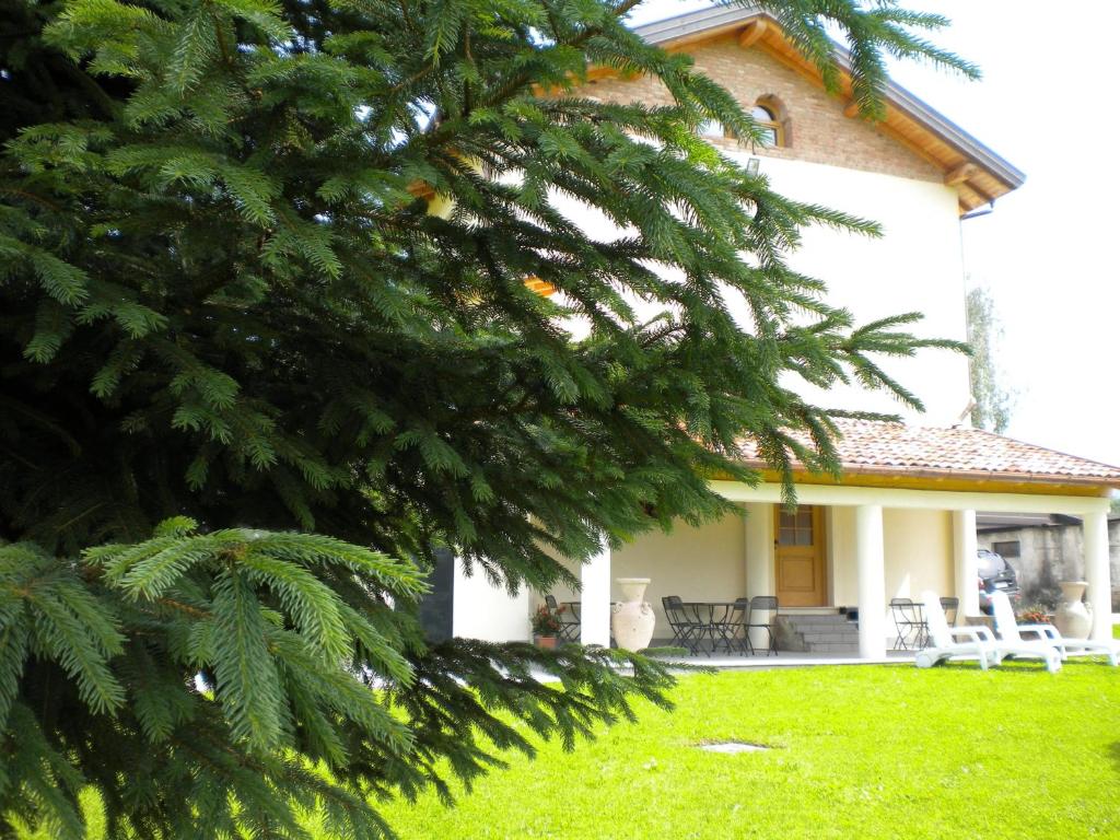a house with a pine tree in front of it at La Tieda - locazione turistica Reolon in Belluno