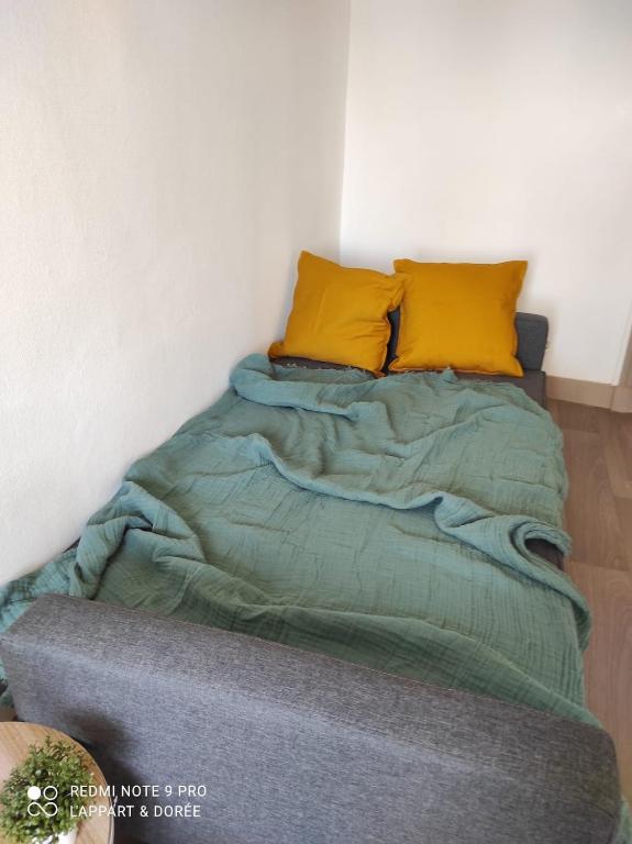 L'appart & de la Turdine à L'arbresle entrée autonome - Apartamento De Dos Dormitorios