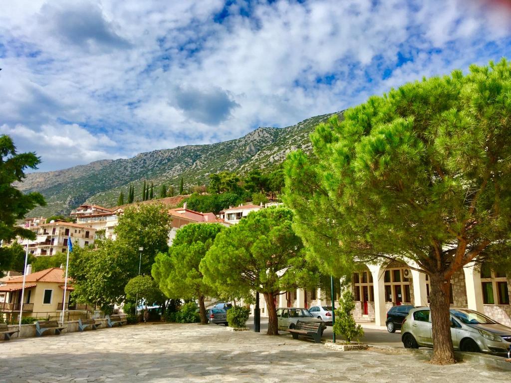 a city street with trees and a mountain in the background at Delphi celebrity v i p the navel of the Earth, CENTER-DELPHI-penthouse galaxy&sky panoramic view, harmony&YOGA in Delphi