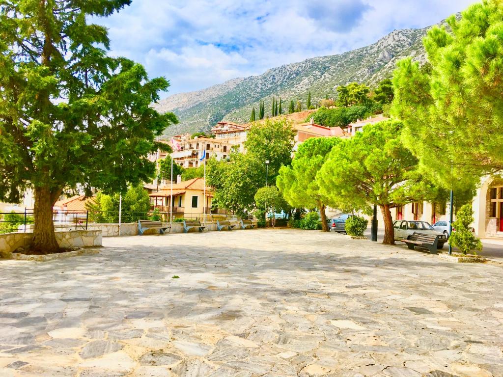 ulica w mieście z drzewami i budynkami w obiekcie Delphi celebrity v i p the navel of the Earth, CENTER-DELPHI-penthouse galaxy&sky panoramic view, harmony&YOGA w mieście Delfy
