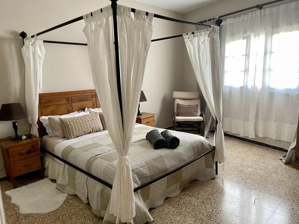 a bedroom with a canopy bed with white curtains at Home From Home in Teguise