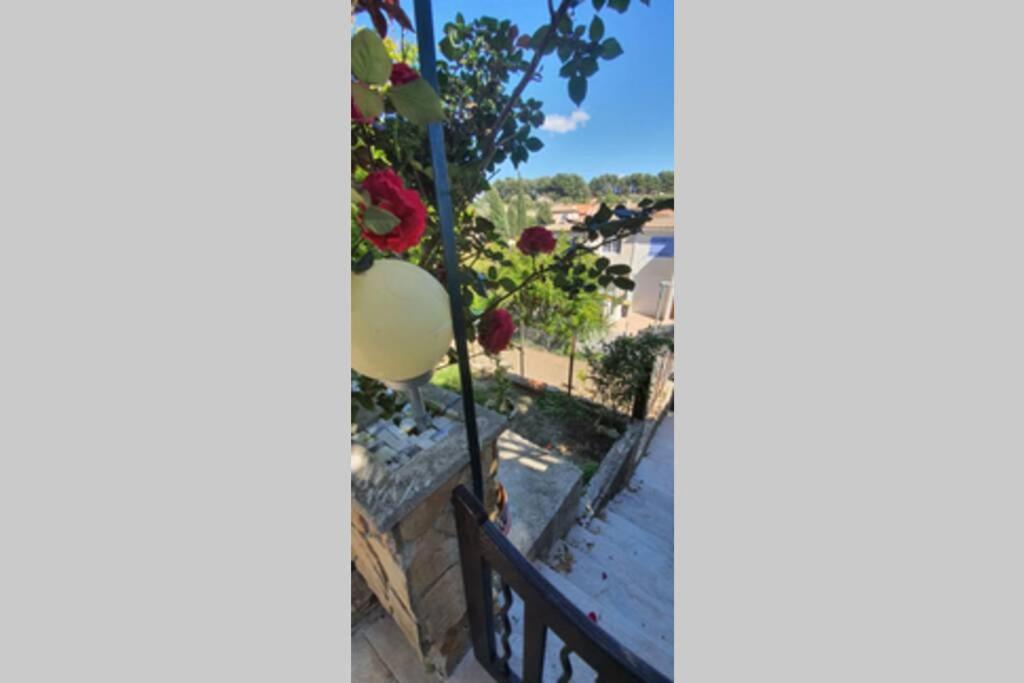 uma vista da varanda de uma casa em studio entre vallée colline et soleil marseillais em Marselha