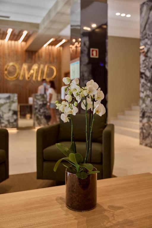 OMID Saldanha Hotel - Resim 6