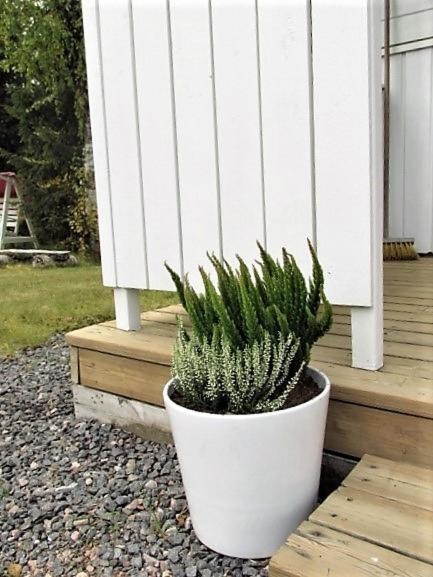 Zahrada ubytování Scandinavian Dream Cottages Vikajarvi- Rovaniemi