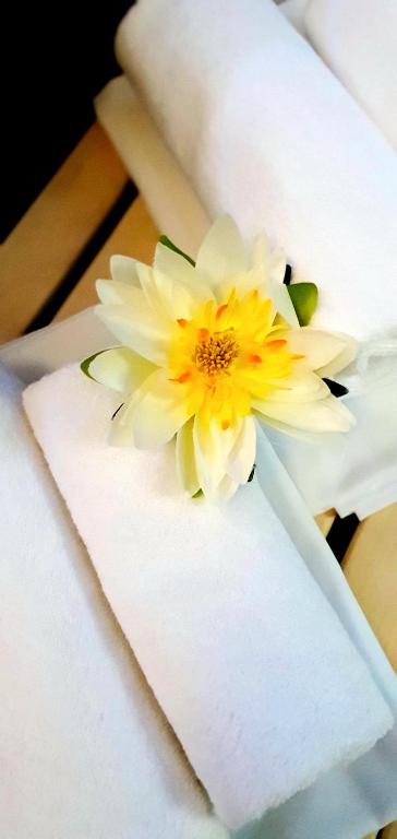 Postel nebo postele na pokoji v ubytování Hotel Farma Vysoká