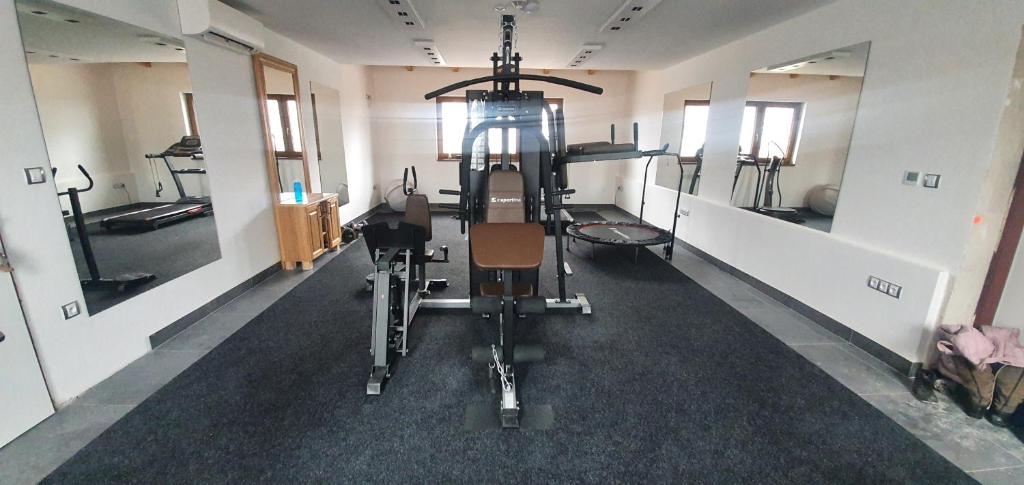 Fitness centrum a/nebo fitness zařízení v ubytování Hotel Farma Vysoká