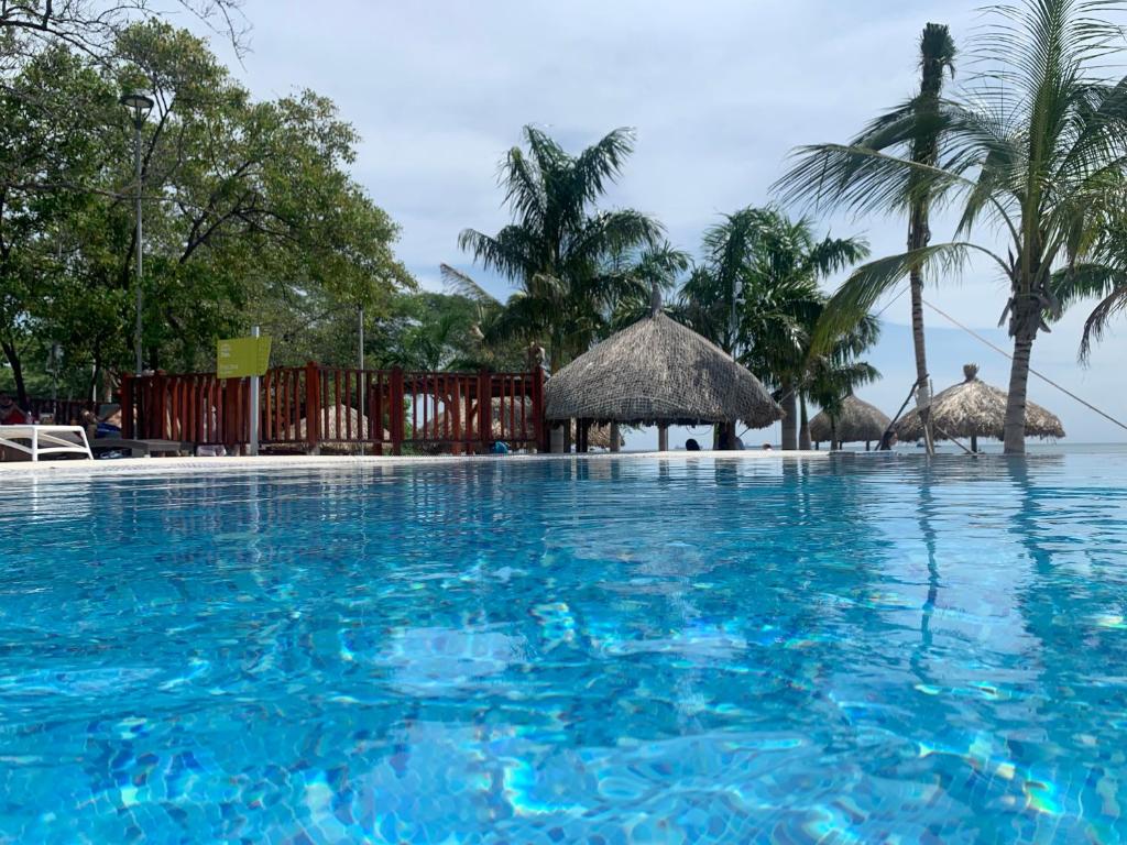 een zwembad met blauw water en palmbomen bij APARTAMENTO Samaria Pozos Colorados 6per 2Hb Santa Marta in Santa Marta