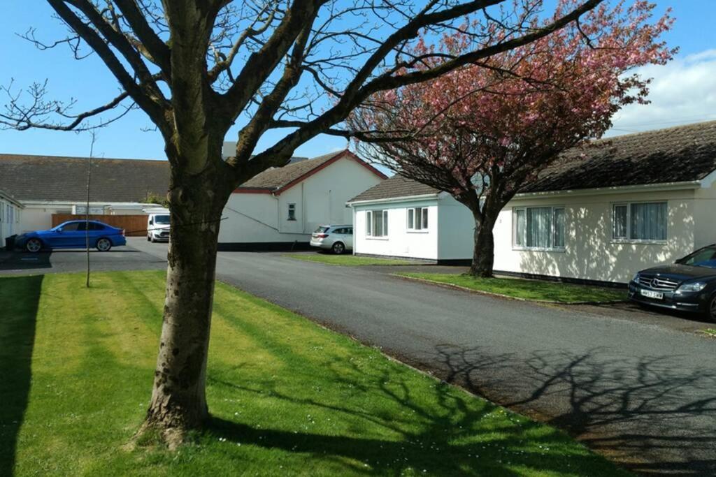 a tree on the side of a street at Perfect for the family and beaches - Gower Cwtch in Swansea