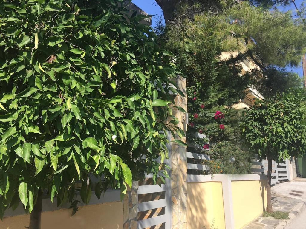 una recinzione con un grande albero accanto a un edificio di ELIAS APARTMENT ad Atene
