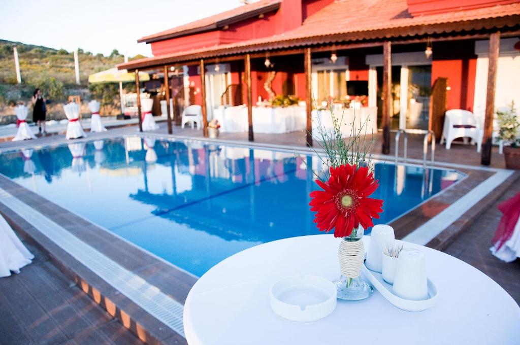 eine Vase mit einer roten Blume auf einem Tisch neben einem Pool in der Unterkunft Ciftlik Hotel in Cesme