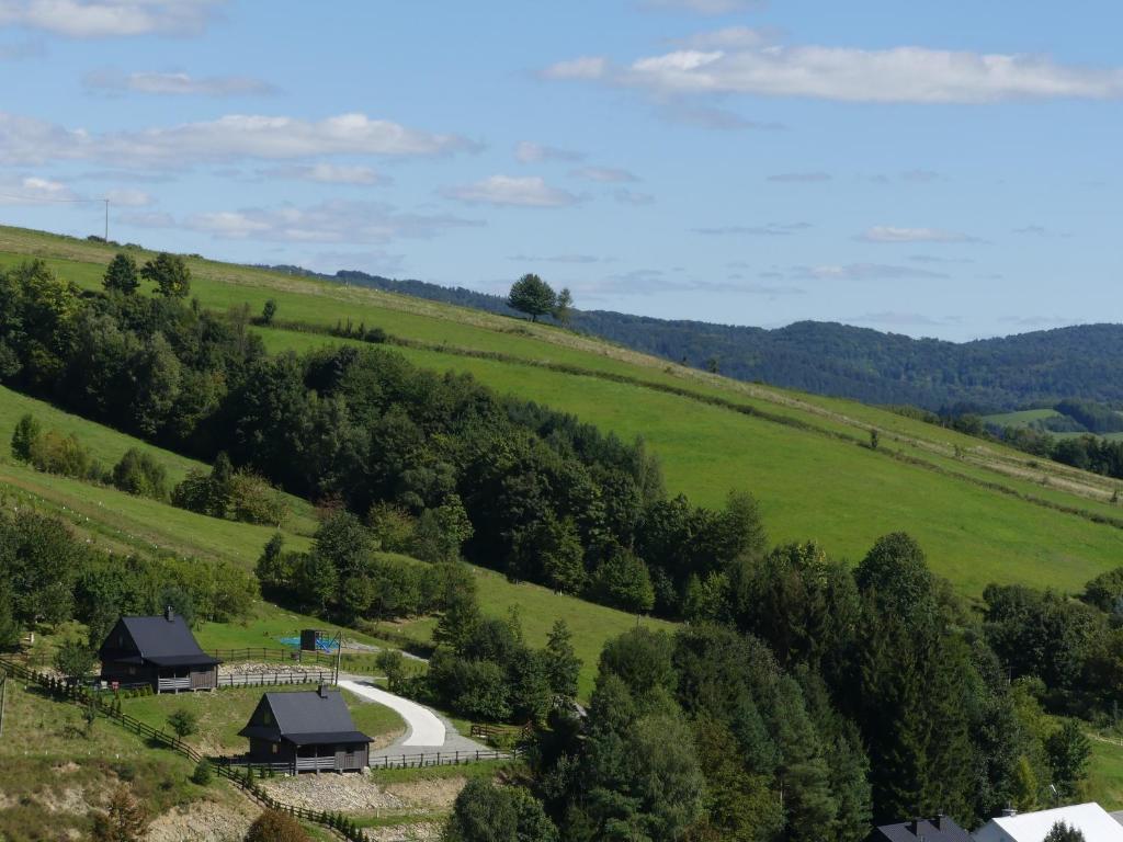 Príroda v okolí chaty v prírode