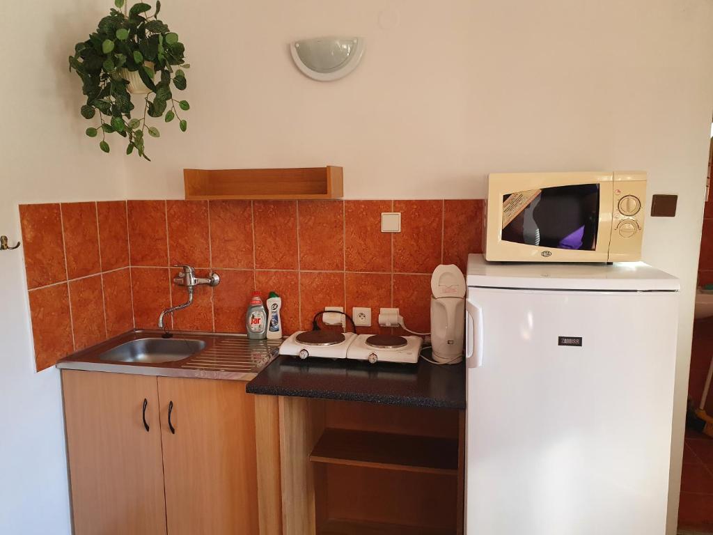A kitchen or kitchenette at Privat u Jozefa Földesa