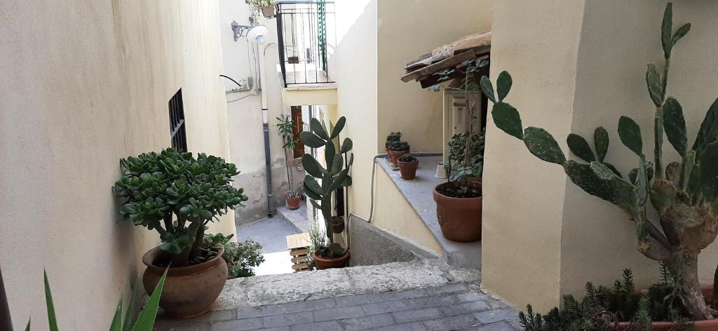 Fotografie z fotogalerie ubytování Pura Vida Iblea v destinaci Ragusa