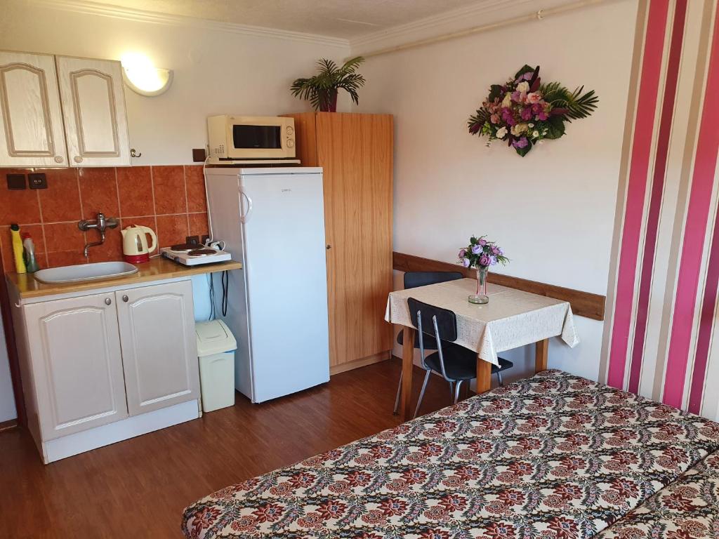 A kitchen or kitchenette at Privat u Jozefa Földesa