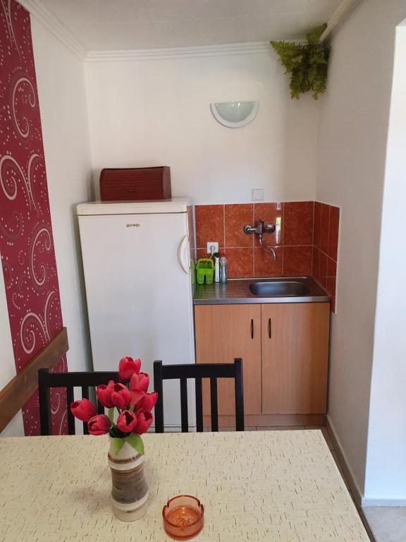A kitchen or kitchenette at Privat u Jozefa Földesa