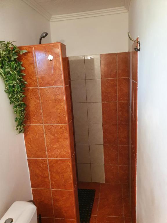 A bathroom at Privat u Jozefa Földesa