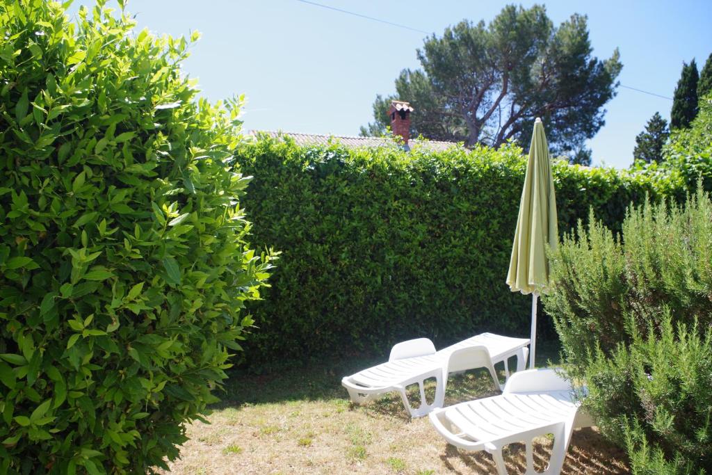 Zahrada ubytování Holiday Apartment Jasna