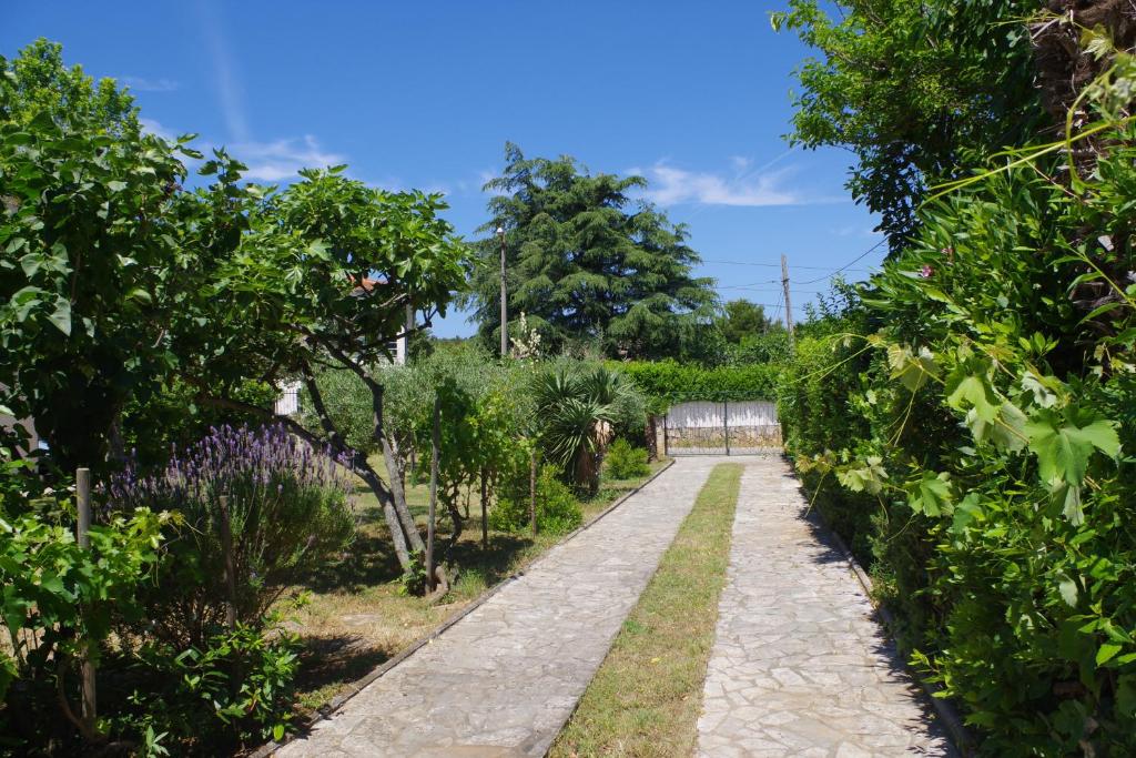 Zahrada ubytování Holiday Apartment Jasna