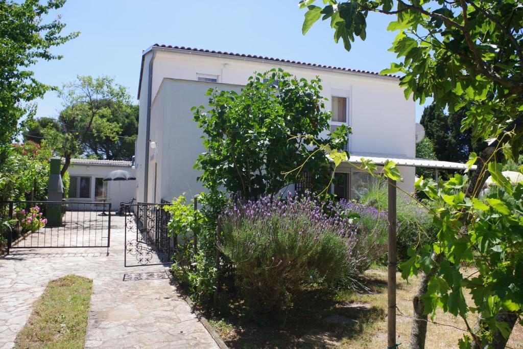 Zahrada ubytování Holiday Apartment Jasna