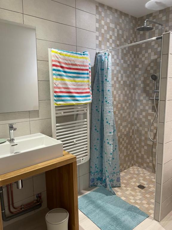 a bathroom with a shower and a sink at La Sabaudia in Saint-Pierre-dʼEntremont