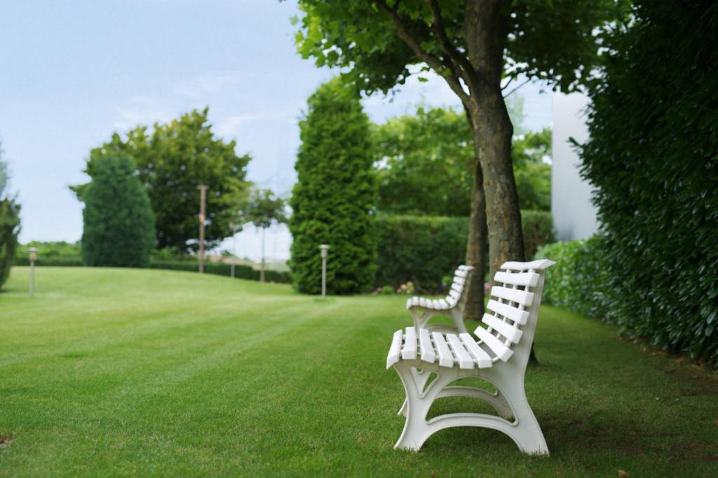 Zahrada ubytování Hotel Zielonka