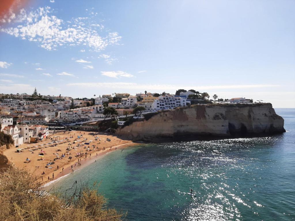 Naturlandskabet i nærheden af lejligheden