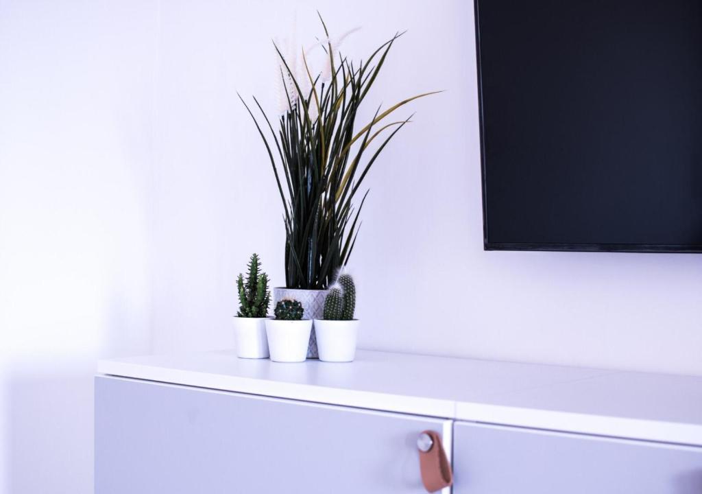 Televízia a/alebo spoločenská miestnosť v ubytovaní Walk Rooms