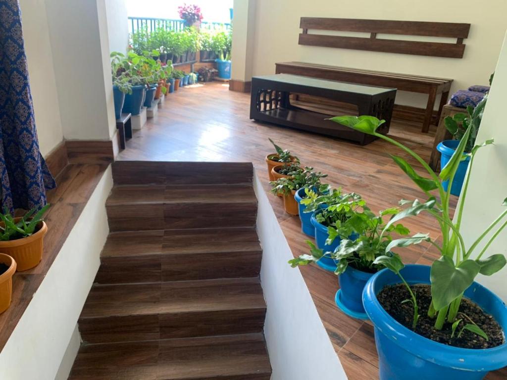 a hallway with potted plants on the stairs at GIRIN Homestay in Darjeeling