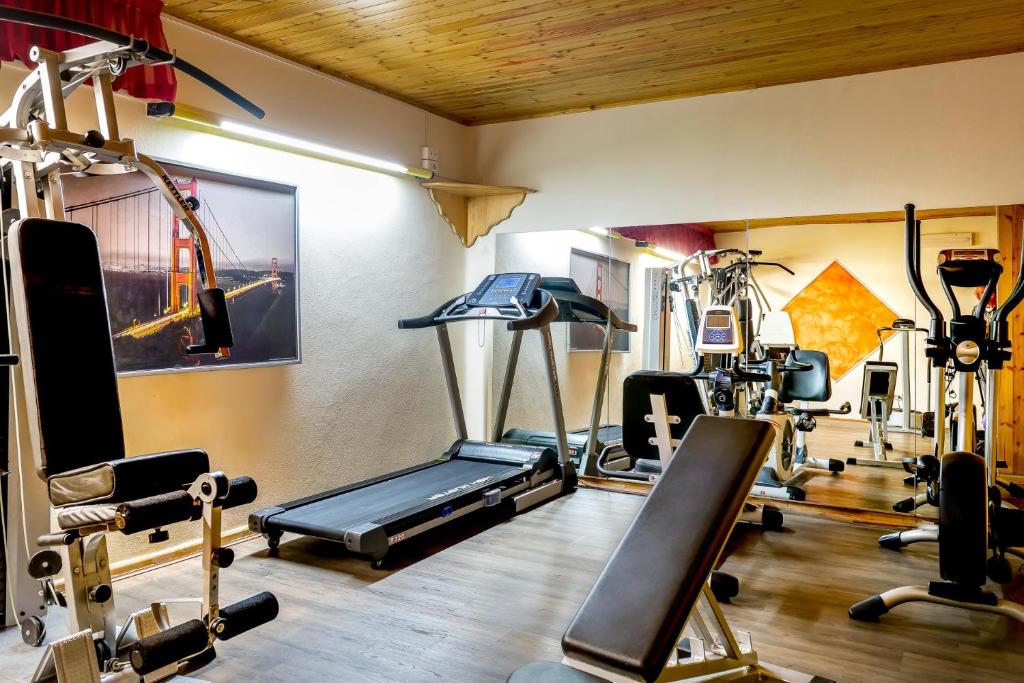 Fitness centrum a/nebo fitness zařízení v ubytování Hotel Apollo