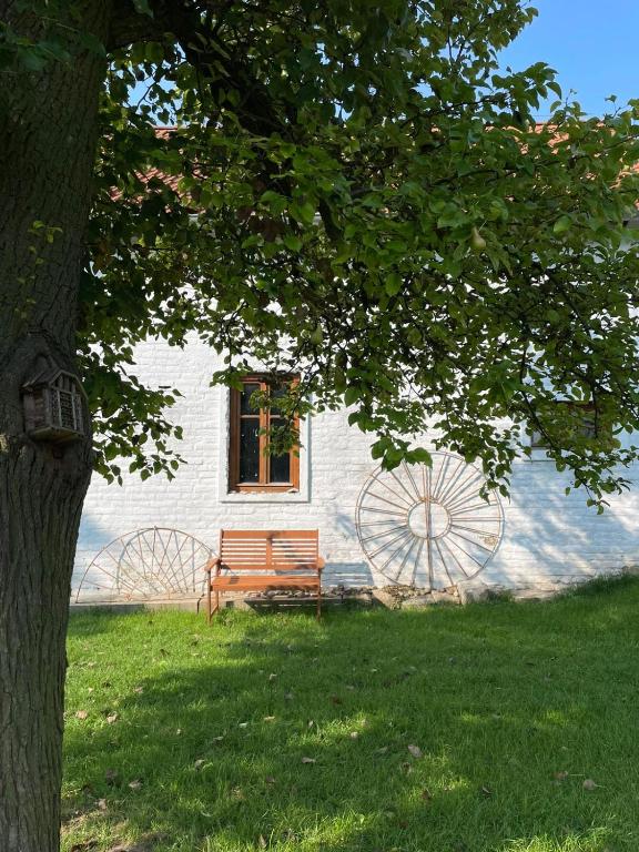 Ogród w obiekcie Statek Keblice