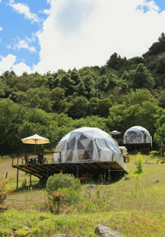 Příroda nedaleko luxury tent