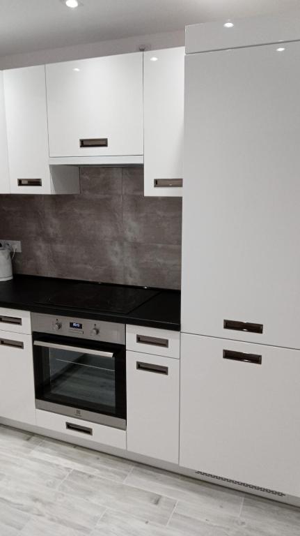 Kuchyňa alebo kuchynka v ubytovaní Apartament Jakubek