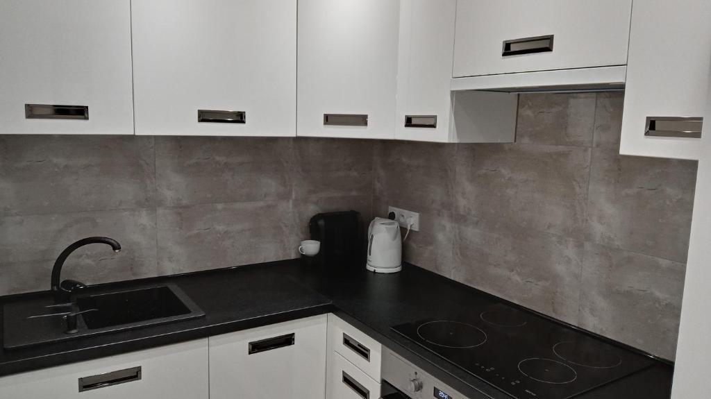 Kuchyňa alebo kuchynka v ubytovaní Apartament Jakubek