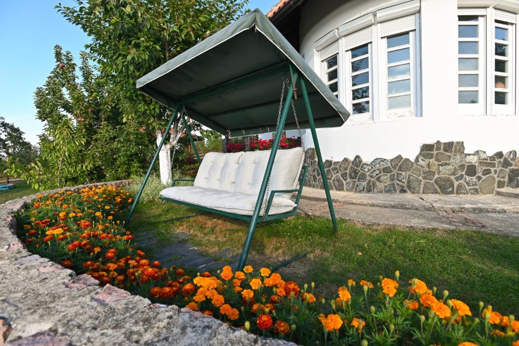 Zahrada ubytování Villa Mira