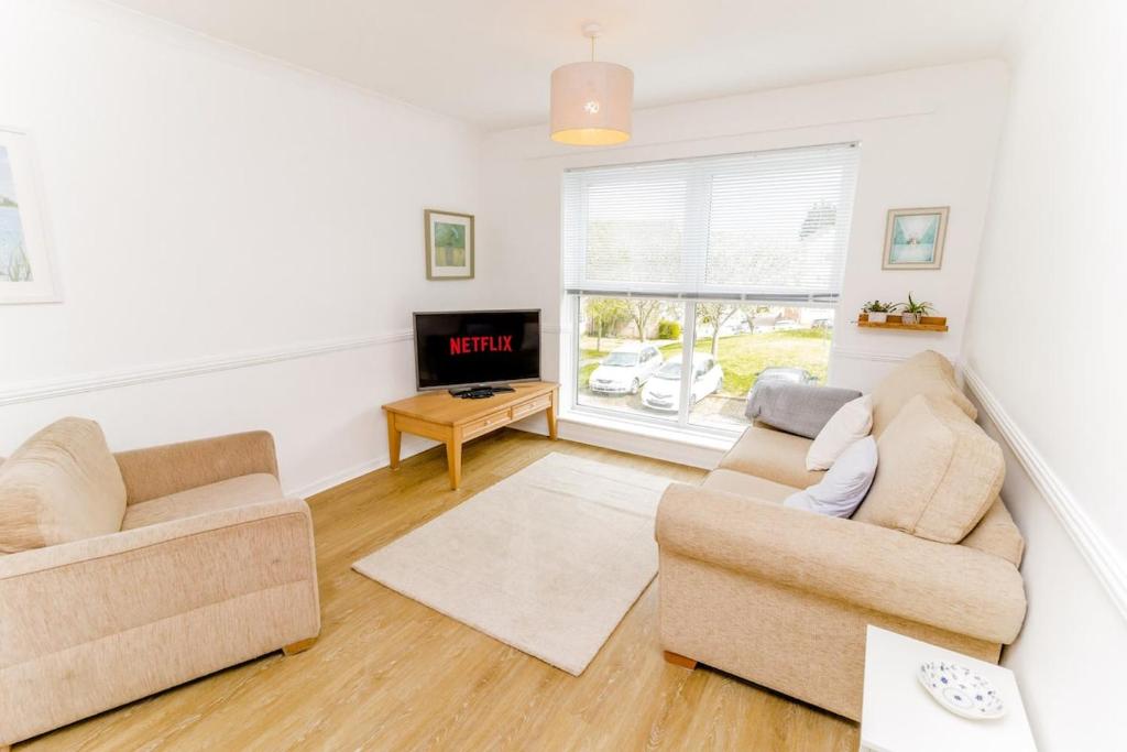 a living room with two couches and a tv at Cosy City Centre Apartment With Parking in Norwich