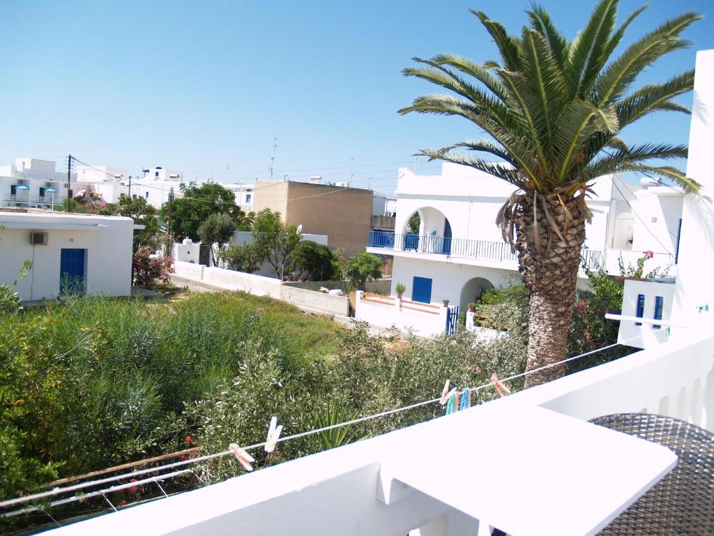 a palm tree on the balcony of a house at Hotel Antiparos in Antiparos Town