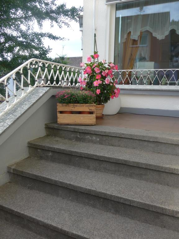 Balkón nebo terasa v ubytování Pension Schneider