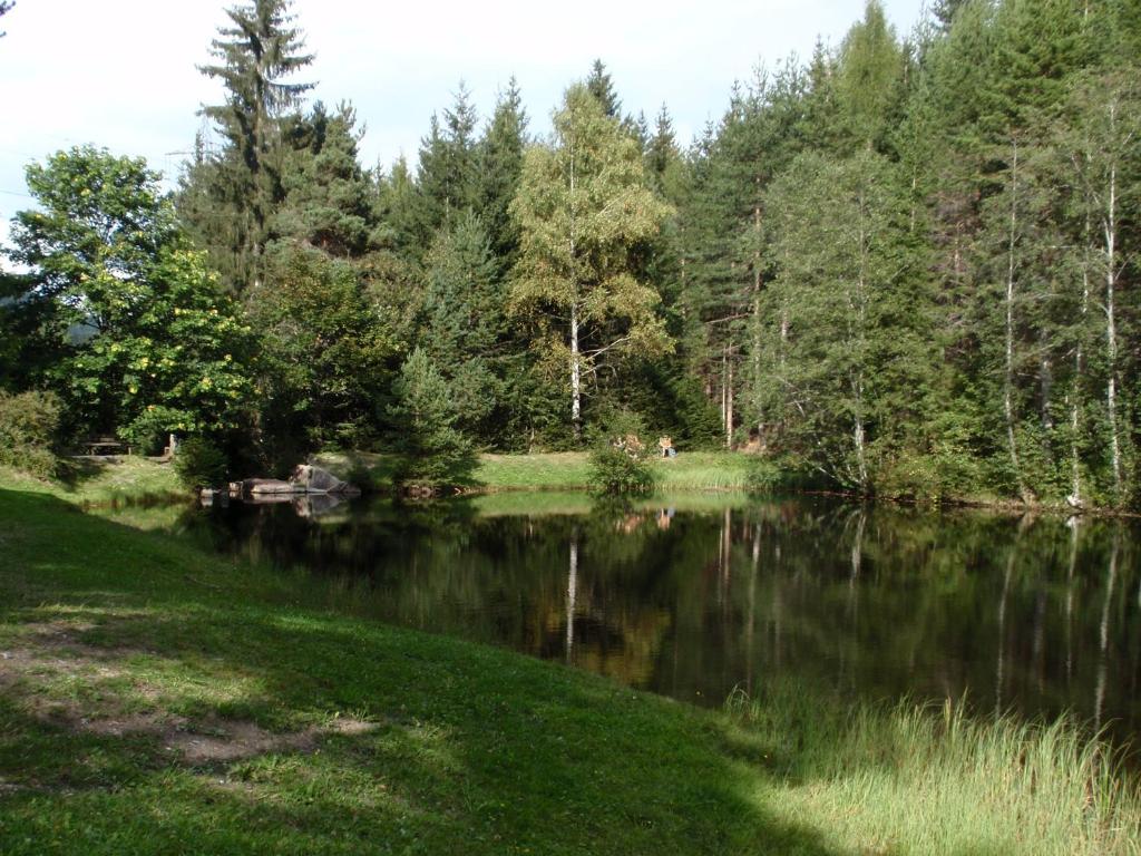 Příroda nedaleko apartmánu
