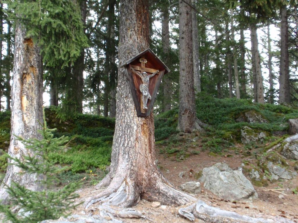 Příroda nedaleko apartmánu