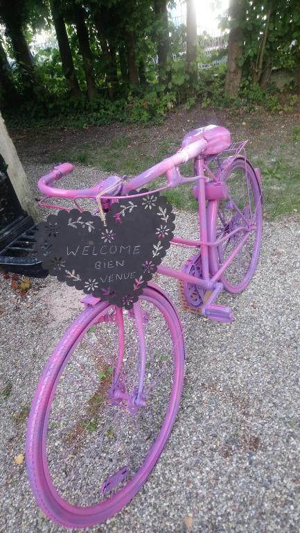 Una bicicleta rosa con un cartel en la parte delantera en la romantique en Sainte-Marie-aux-Mines