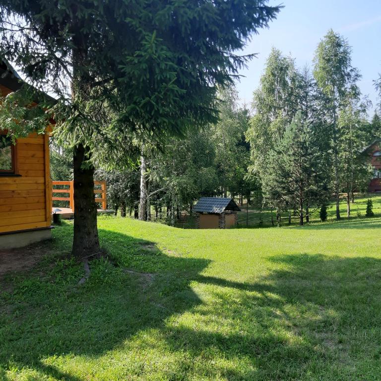 Vonkajšia záhrada v ubytovaní Pod Dębem