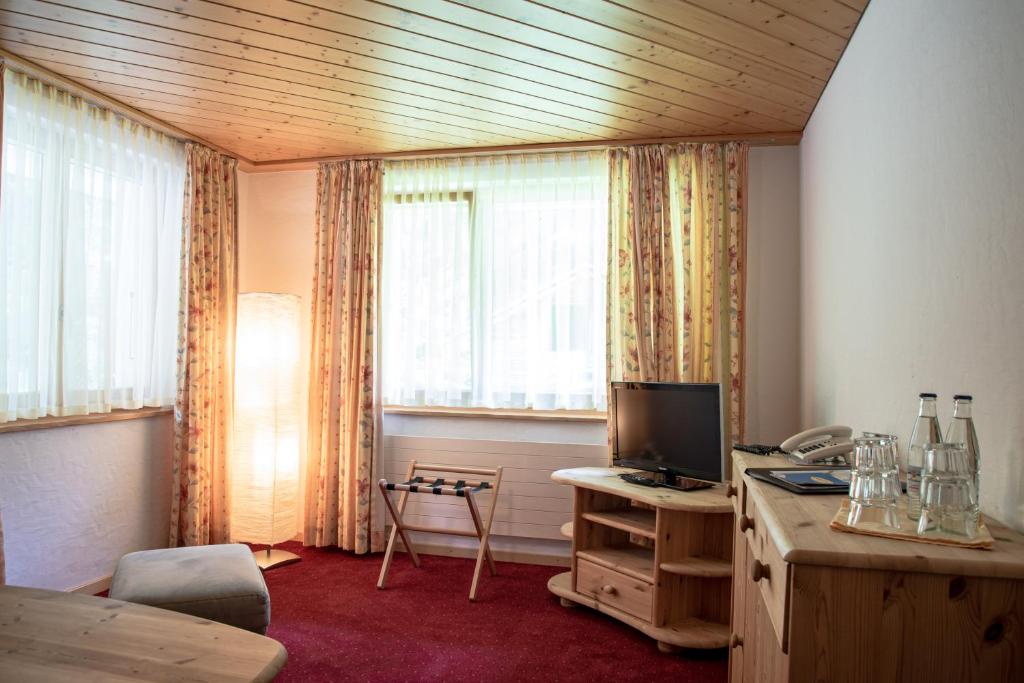 TV a/nebo společenská místnost v ubytování Typically Swiss Hotel Ermitage