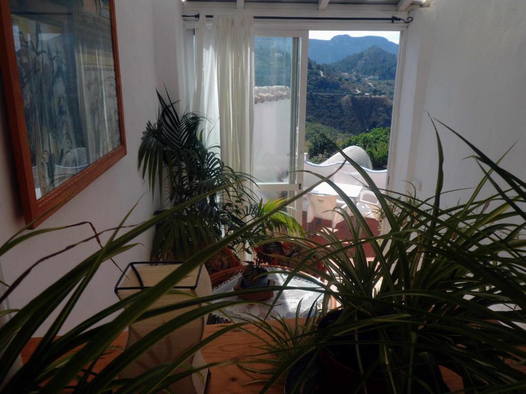 a room with two potted plants in front of a window at Charming house ideal for couples and young families in Tárbena