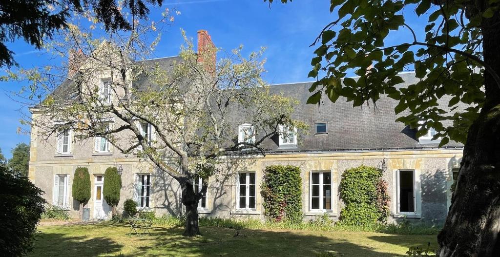 uma casa velha com uma árvore em frente em La Métairie em Vernou-sur-Brenne