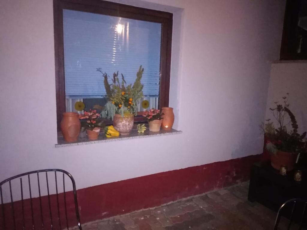 Fotografie z fotogalerie ubytování Ferienhaus Badetz v destinaci Badetz