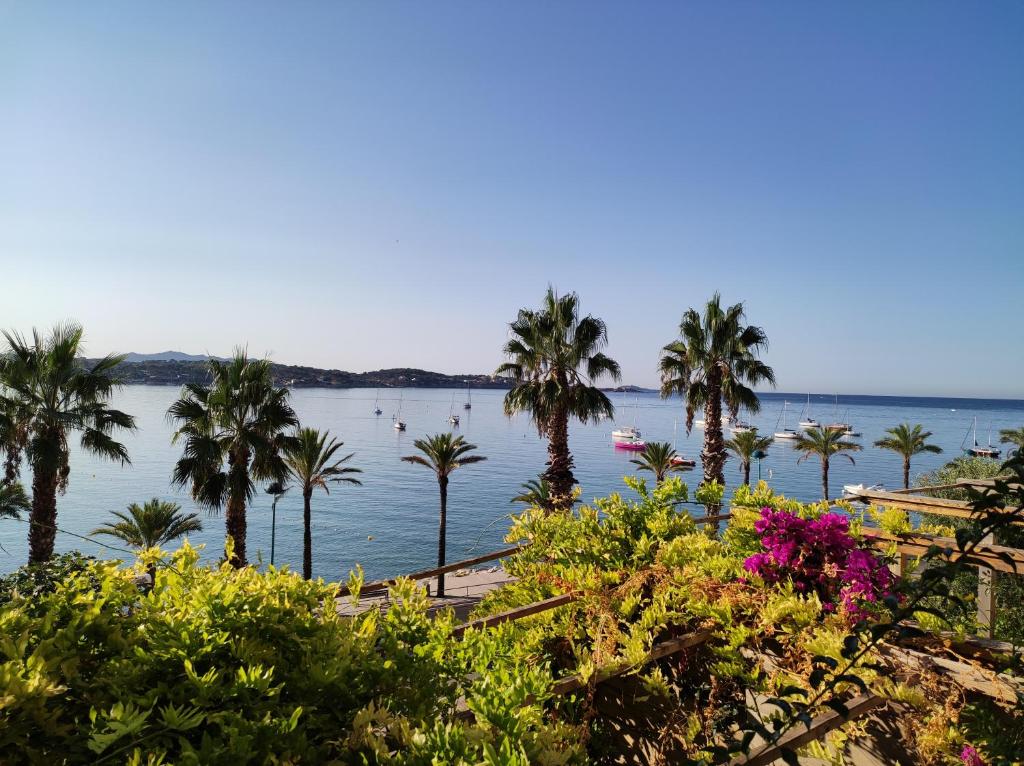 a view of a body of water with palm trees at Les Galets Hôtel et B&B in Bandol