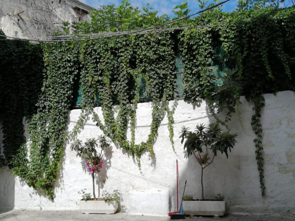 Borgo Fontana B&B - 16