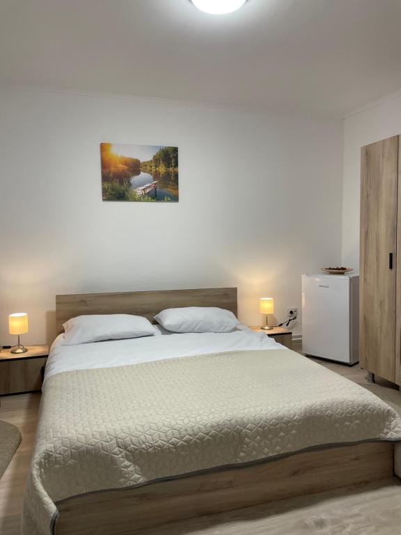 um quarto com uma cama grande e 2 almofadas em The iNk Rooms em Ocna-Mureşului