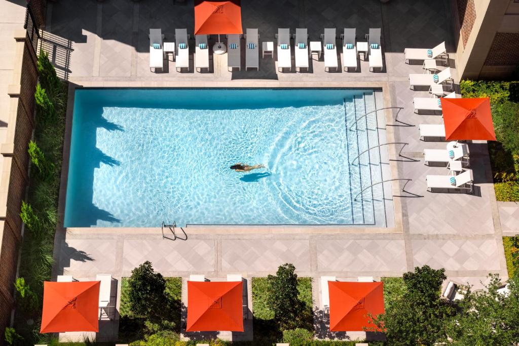 una vista sul tetto di una piscina con una persona che nuota di Warwick Melrose Hotel a Dallas