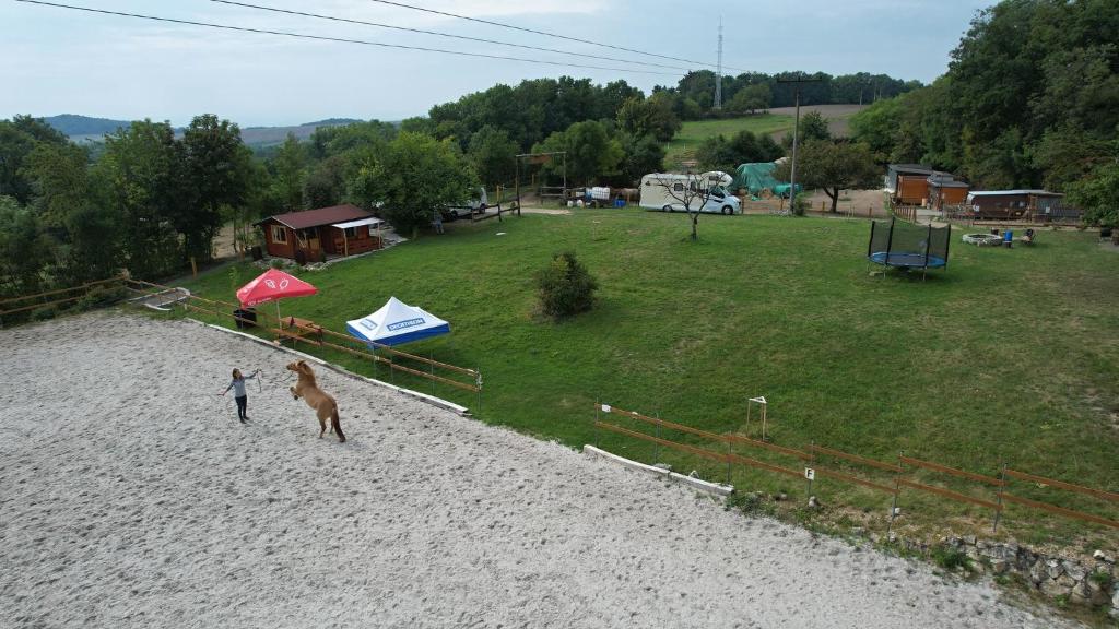 Příroda nedaleko luxury tent